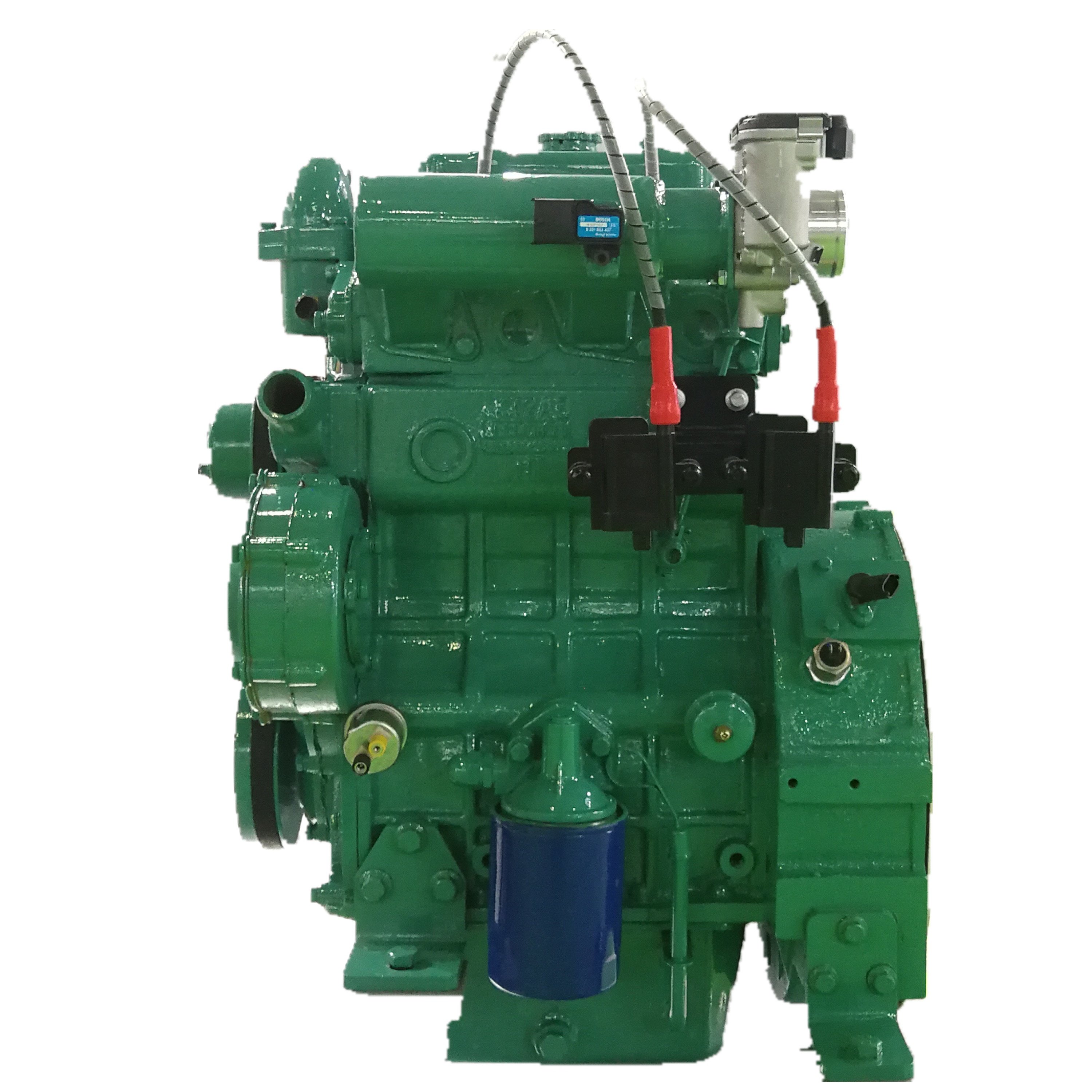 2 cylinders biogas methane 15kw small power LY2.2G-G19 natural gas engine for sale machinery engine alternative energy generator