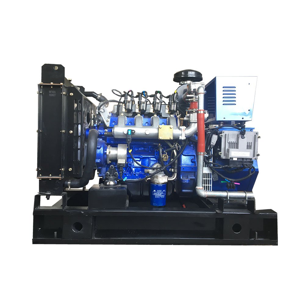 China factory 10kw Biogas Gas Generator biogas electric generator
