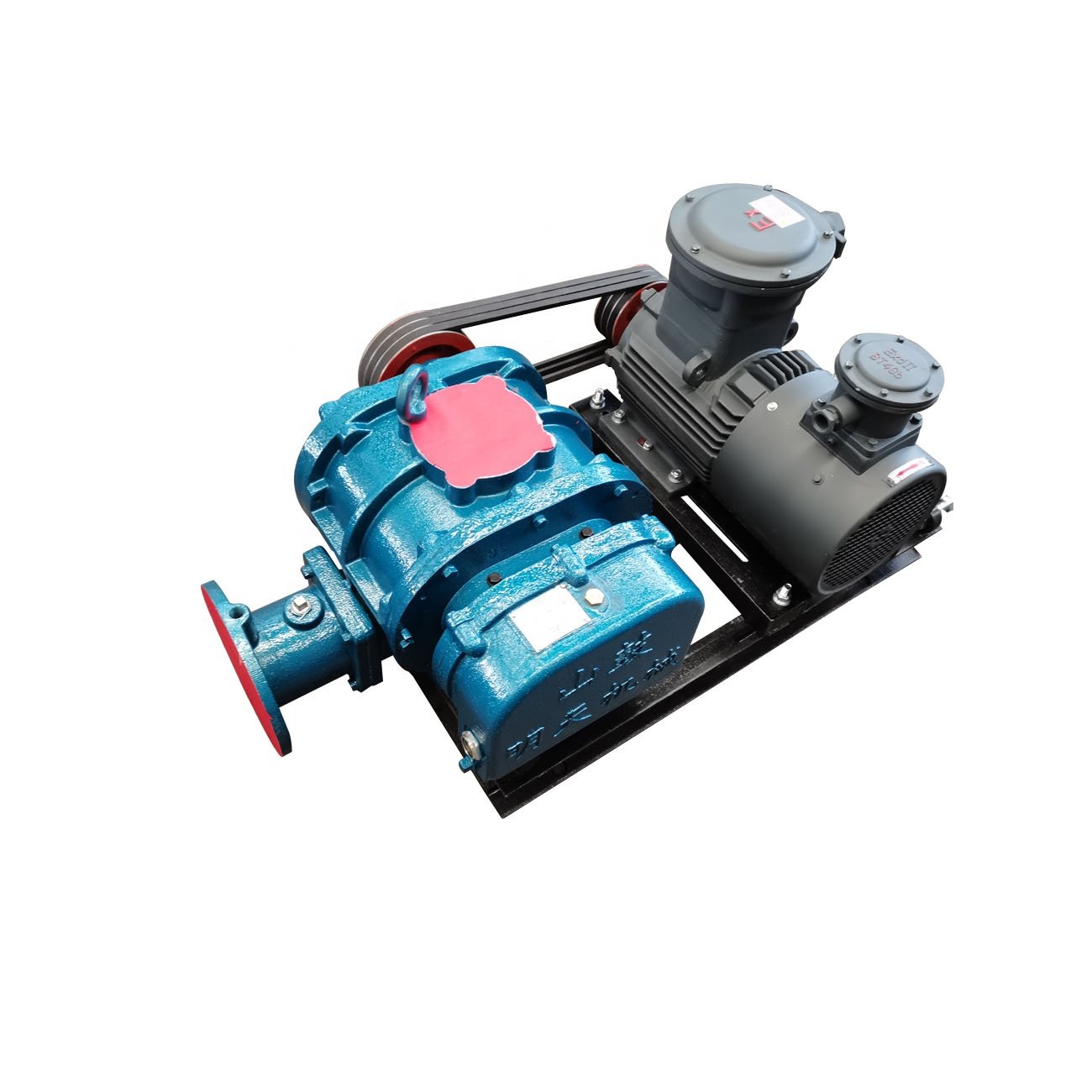China Root Blower High Pressure Biogas Conveying industrial air blower with exproof motor