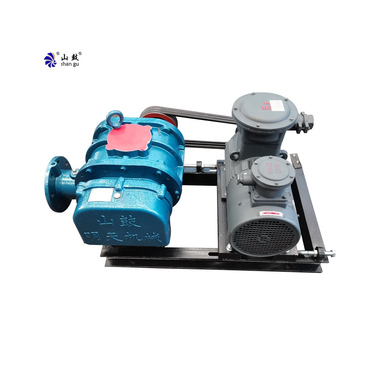 China Root Blower High Pressure Biogas Conveying industrial air blower with exproof motor