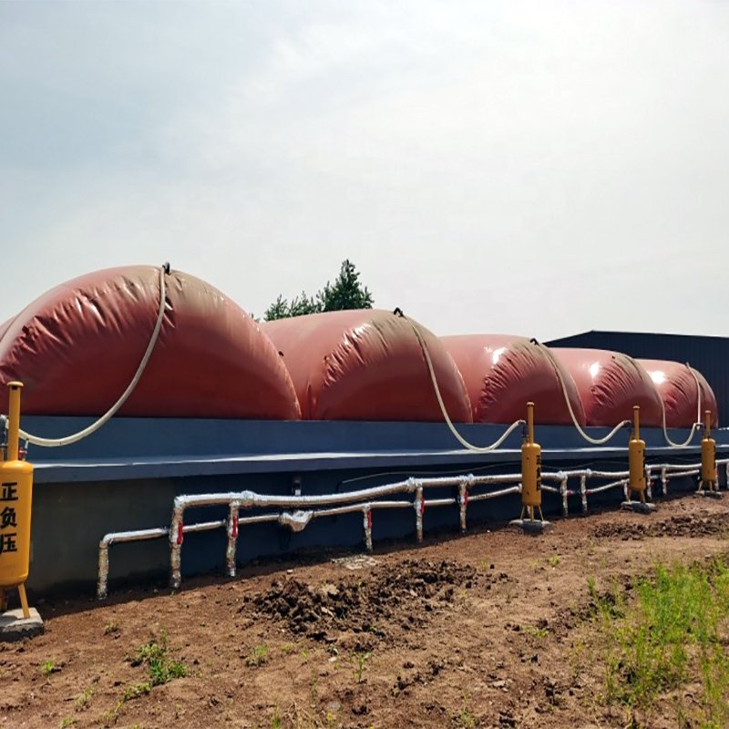 New portable biogas storage device for biogas digester with balloon type biogas bag