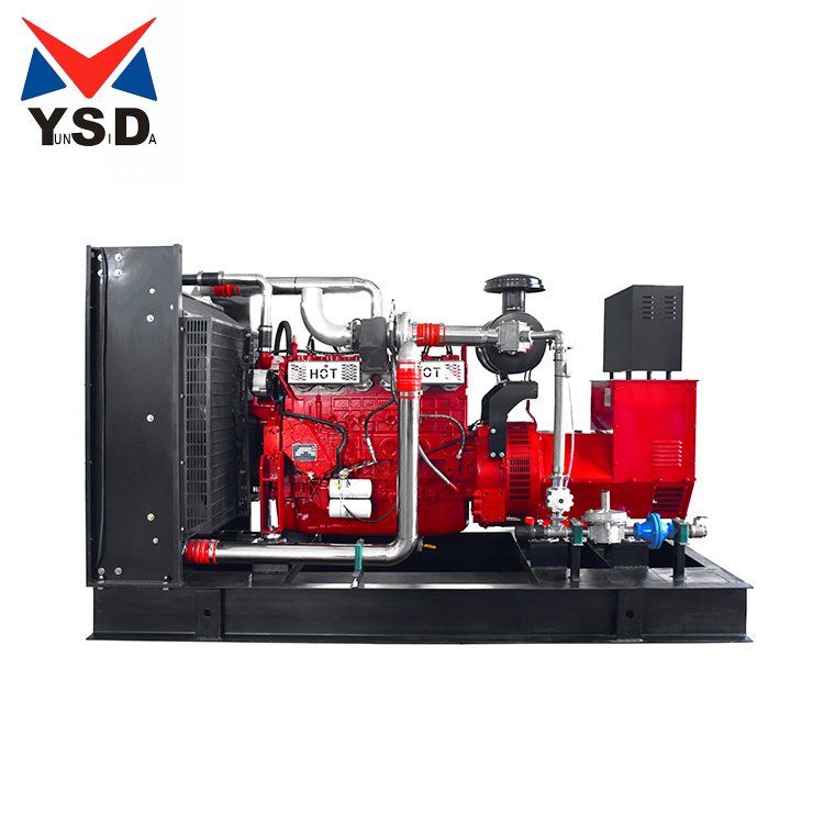 N6S9 Gas Silent 220KW Propane Generator High-Power Fast Burning Natural Gas Generator