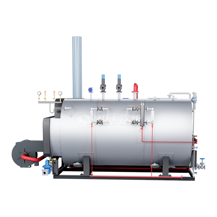 WNS oil gas fired skid mounted steam boiler coke oven gas biogas steam boiler for heating industry