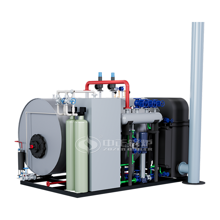 WNS oil gas fired skid mounted steam boiler coke oven gas biogas steam boiler for heating industry