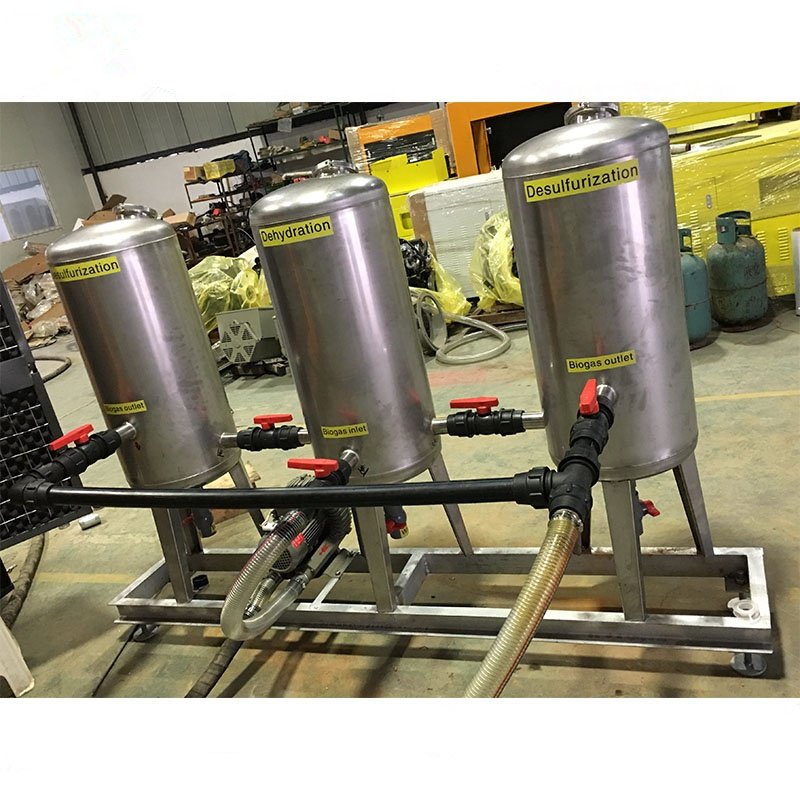 Ailinyou Customized Biogas Scrubber Desulfurization and dehydration system Remove H2S biogas purification system