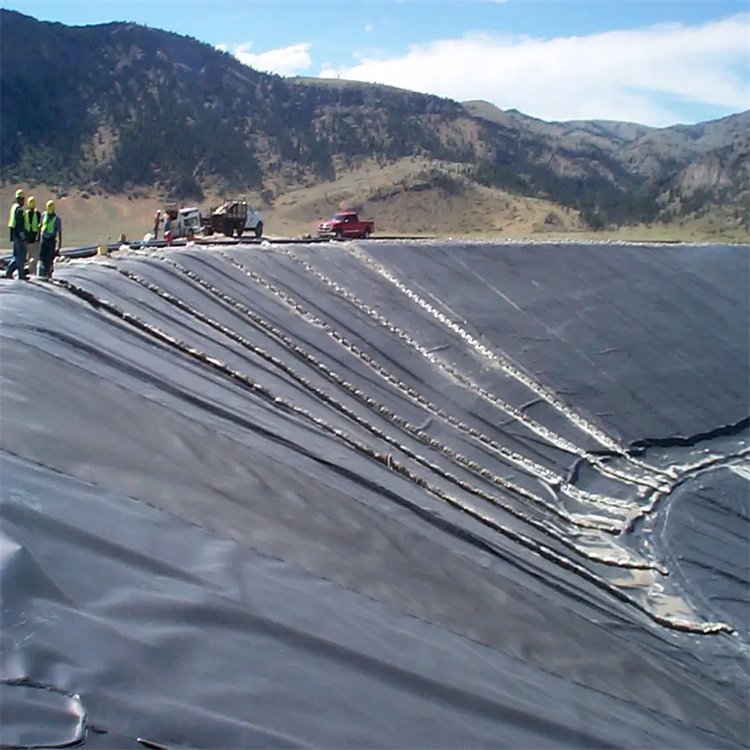 High Density Polyethylene Geomembranes for Roof Leakage Protection Environmental Protection