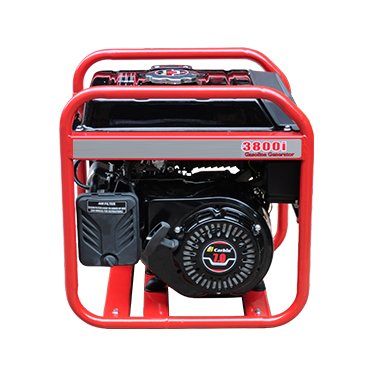 power generator 1000W 2000W 3000W gasoline petrol gas lpg CNG Biogas avr voltage regulator electric inverter generator