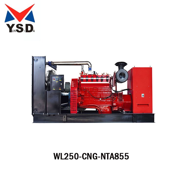 Equipped With High-End Monitoring System And Large-Scale Emergency Power Generation Equipment NTA855 Propane Generator