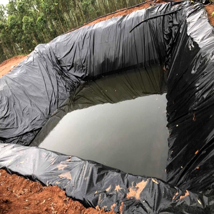 Geomembrane factory 100% Virgin HDPE Geomembrane Liner For Fish Farm duck pond landfill biogas