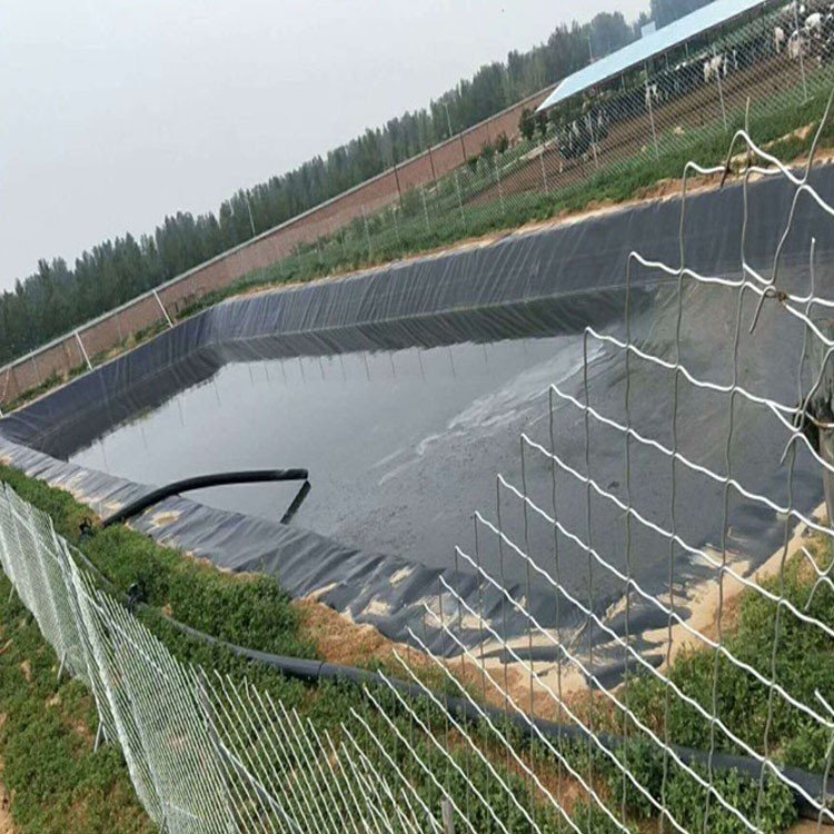 Plastic water Dam Reinforced Polyethylene Pond Liner Geomembrane HDPE liner roll