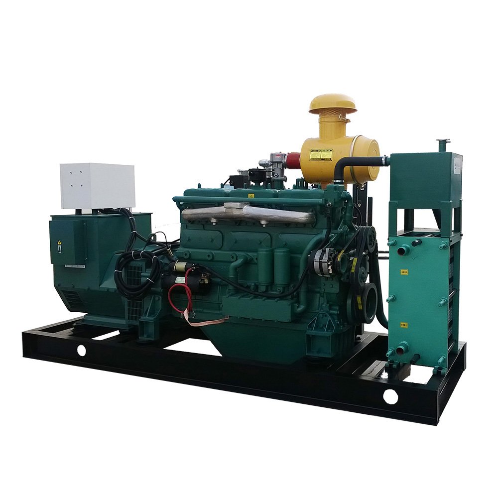Biogas Generator Cummins 10Kw 15Kw 20Kw 50Kw 100Kw Gas Generating Set Price
