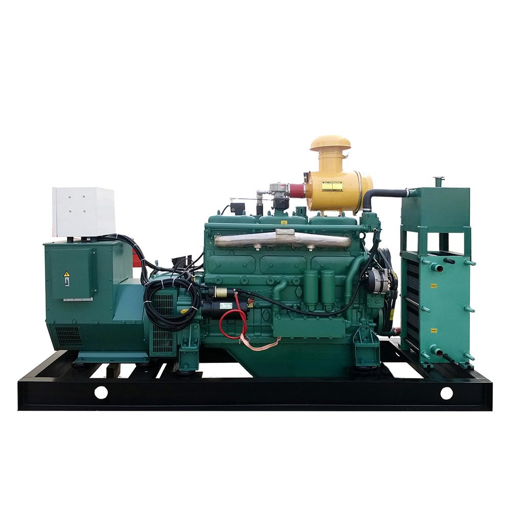 Biogas Generator Cummins 10Kw 15Kw 20Kw 50Kw 100Kw Gas Generating Set Price