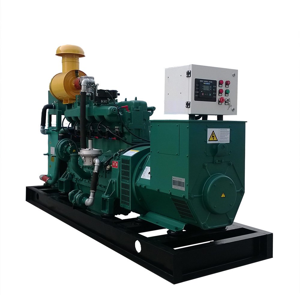 Biogas Generator Cummins 10Kw 15Kw 20Kw 50Kw 100Kw Gas Generating Set Price