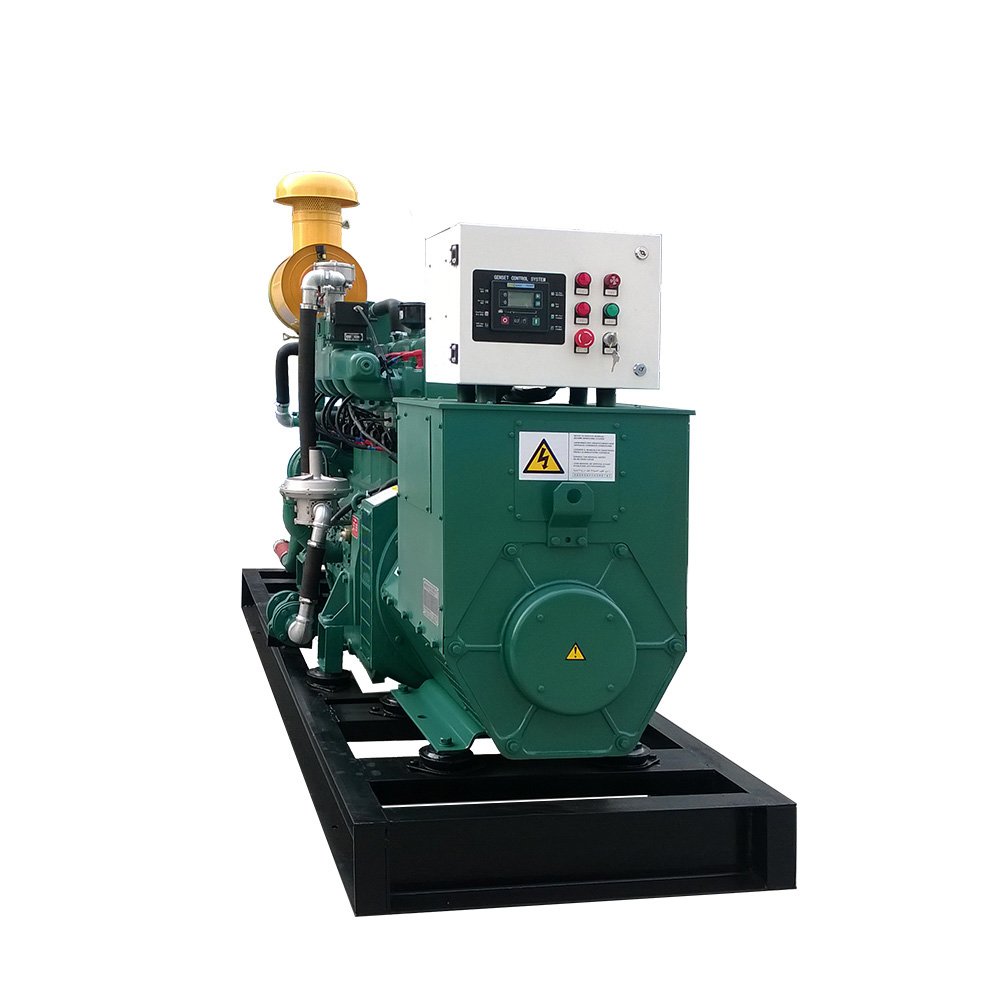 Biogas Generator Cummins 10Kw 15Kw 20Kw 50Kw 100Kw Gas Generating Set Price
