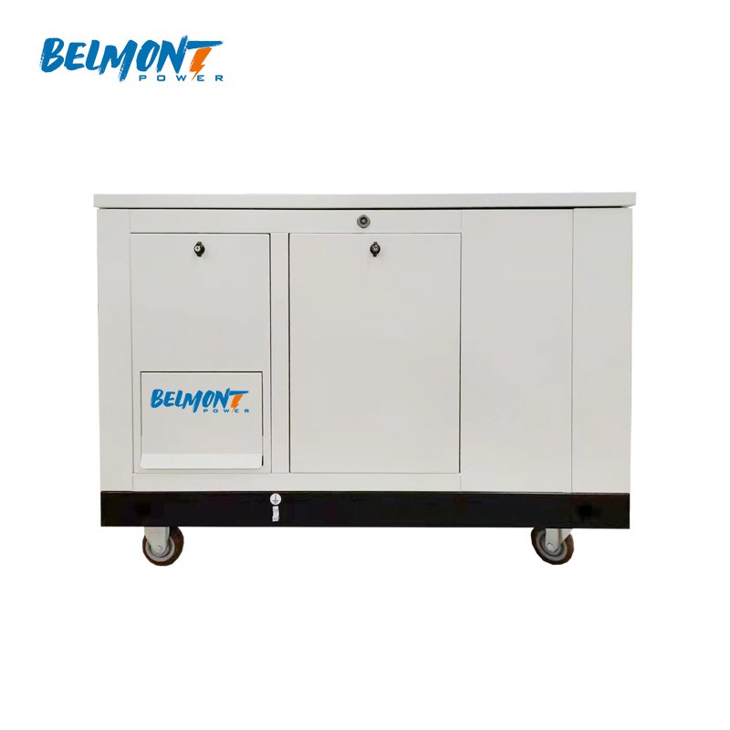 5.5kw 6kw 230v 400v 20kva 25kva 36kva 20kw 22kw 23kw 300kva Home Standby Powered Inverter Electric Home Natural Gas Generator