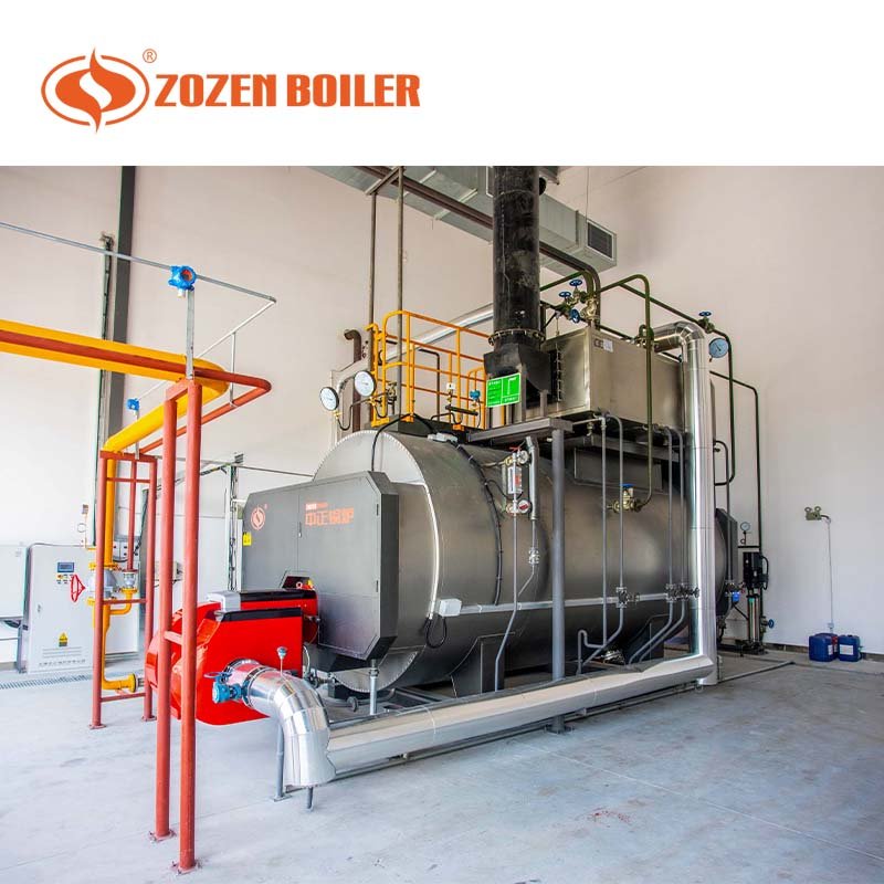 WNS 2 ton natural gas diesel fired industrial condensing boiler for rubber mill