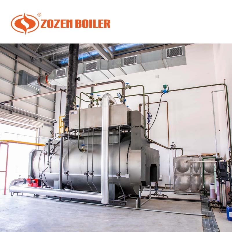 WNS 2 ton natural gas diesel fired industrial condensing boiler for rubber mill