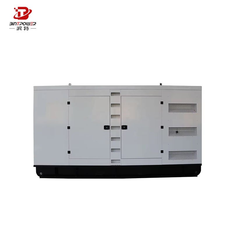 Cummins 1mw natural gas generator 100kw 200kw 300kw 500kw 800kw 1000kva natural gas power generator price