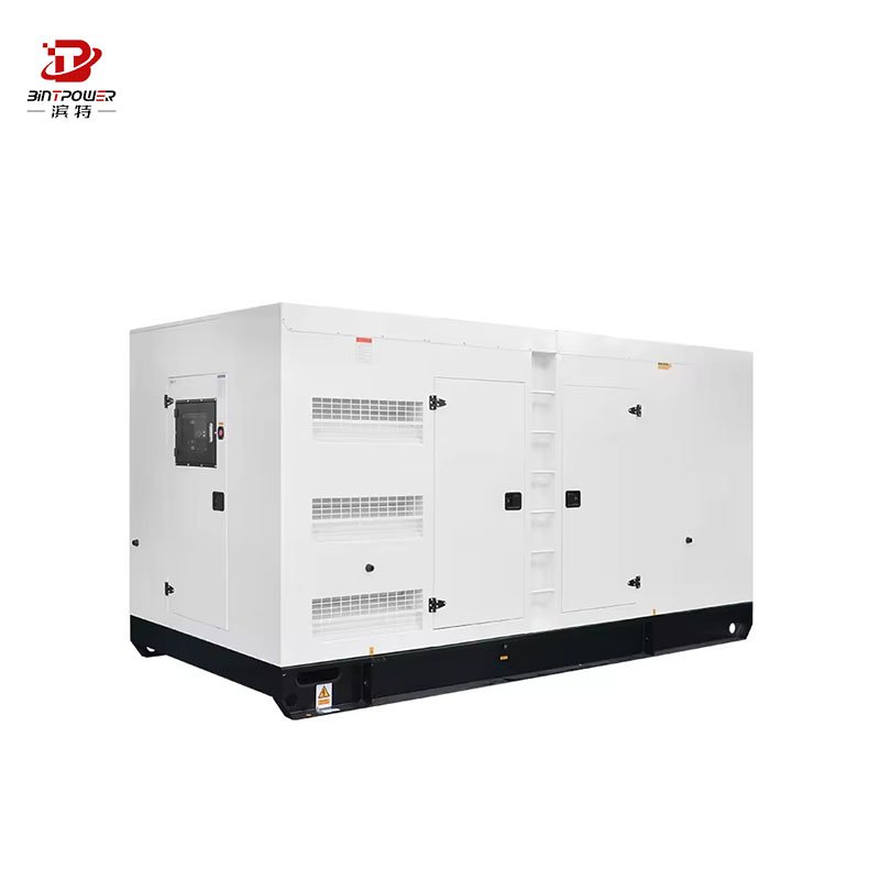 Cummins 1mw natural gas generator 100kw 200kw 300kw 500kw 800kw 1000kva natural gas power generator price