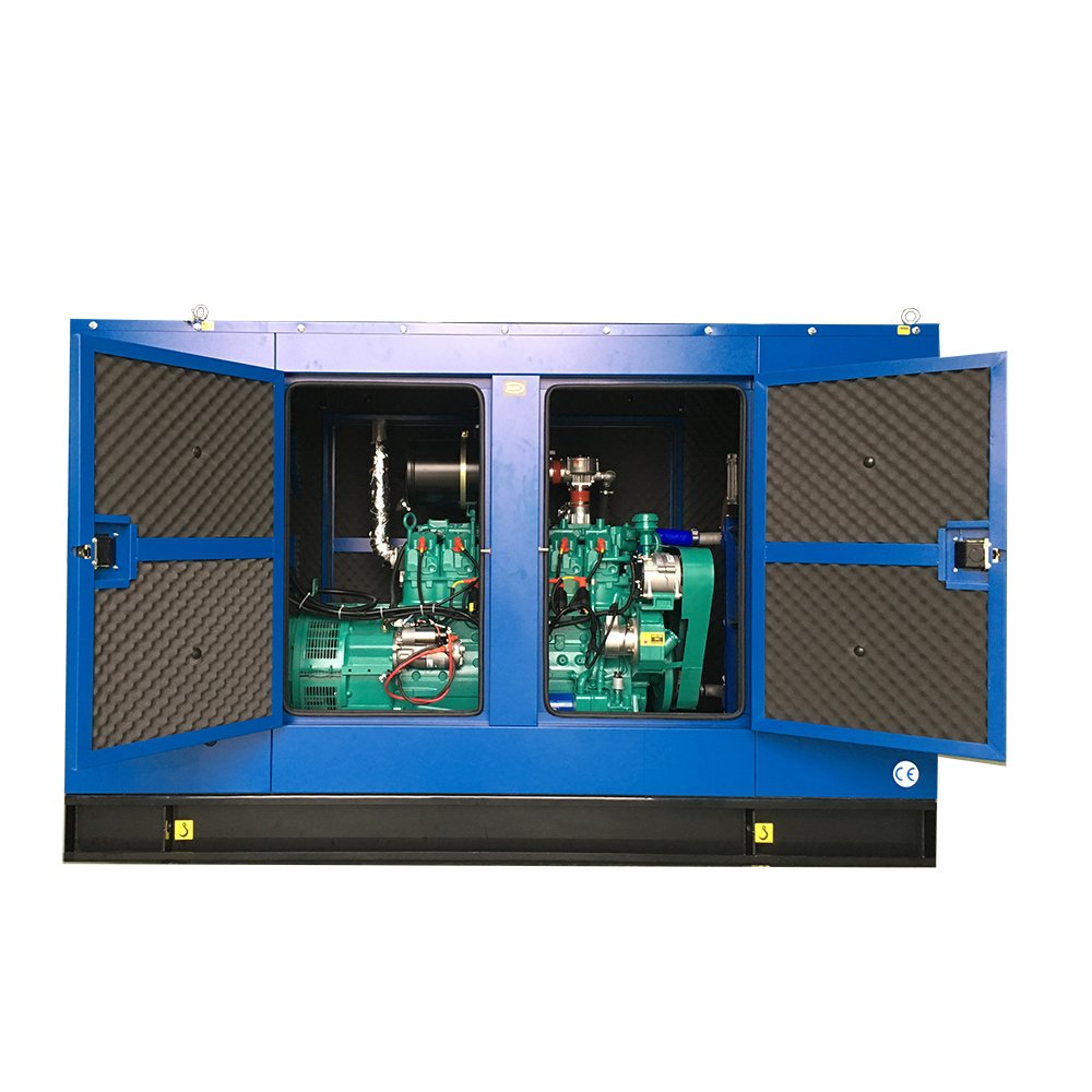 Biogas Generator 5Kw 30Kw 100Kw 300Kw 500Kw Electric
