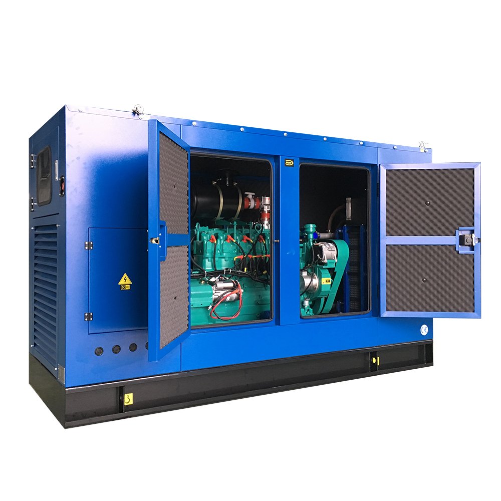 Biogas Generator 5Kw 30Kw 100Kw 300Kw 500Kw Electric