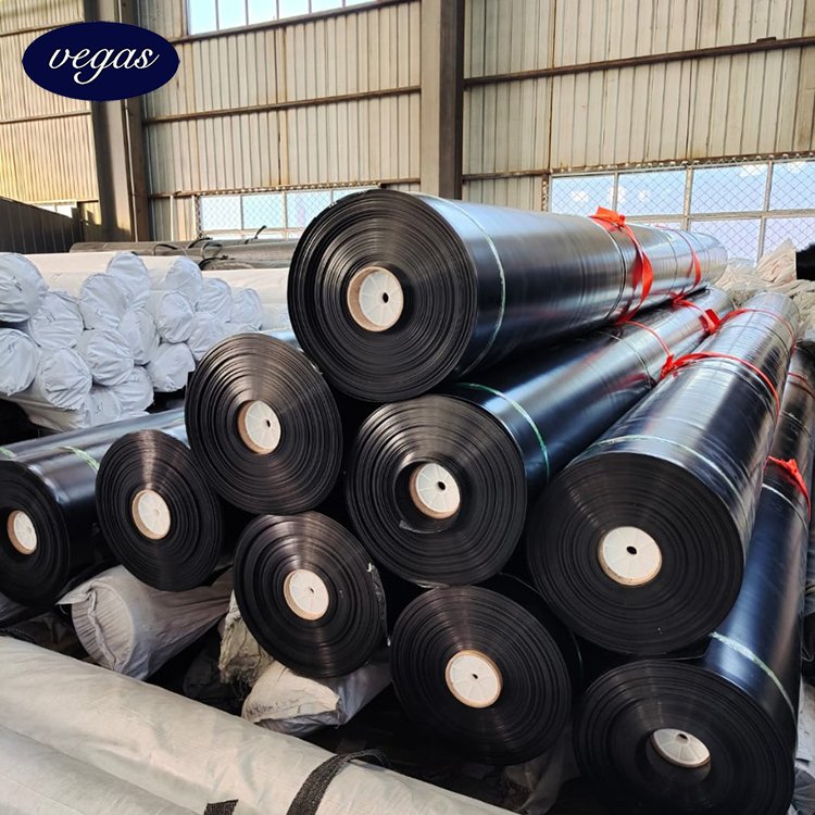 ASTM GRI GM13 1.0mm 1.5mm 2.0mm hdpe geomembrane sheet liner for landfill biogas water reserior dam