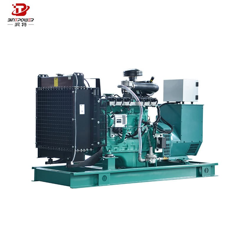CUMMINS Big Power Electric Gas Generation Equipment Plant 500Kw 600KW 1MW Natural Gas/Biogas Generator Set