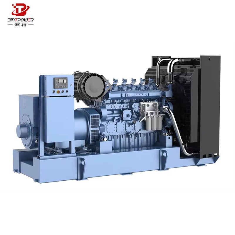 CUMMINS Big Power Electric Gas Generation Equipment Plant 500Kw 600KW 1MW Natural Gas/Biogas Generator Set