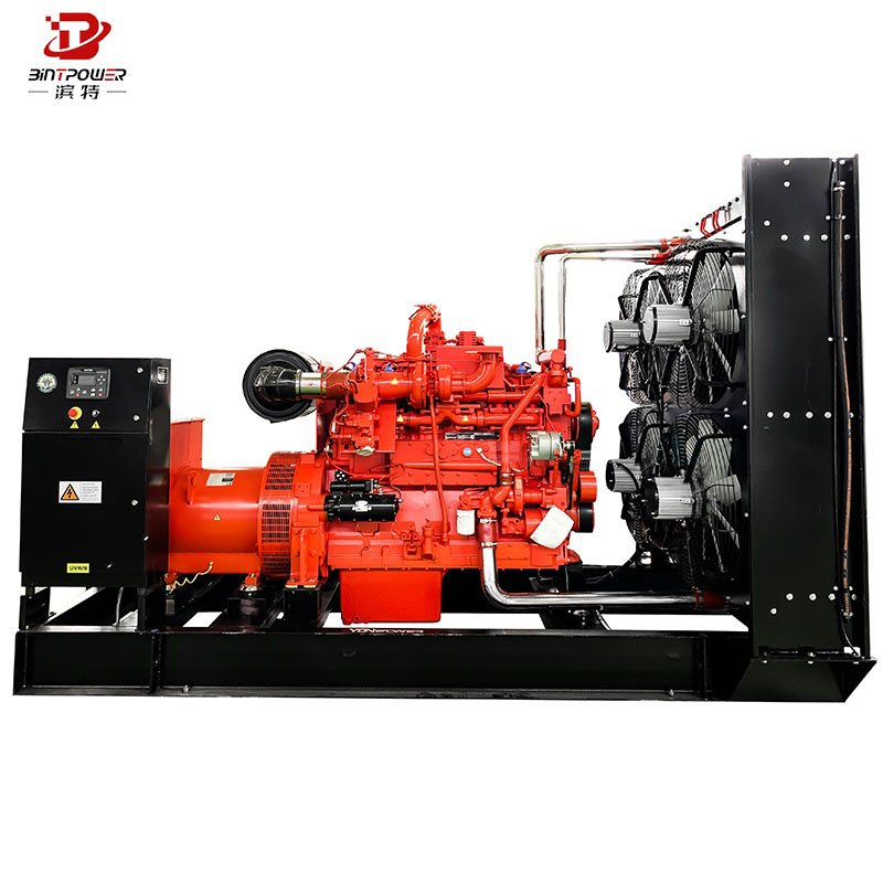 CUMMINS Big Power Electric Gas Generation Equipment Plant 500Kw 600KW 1MW Natural Gas/Biogas Generator Set