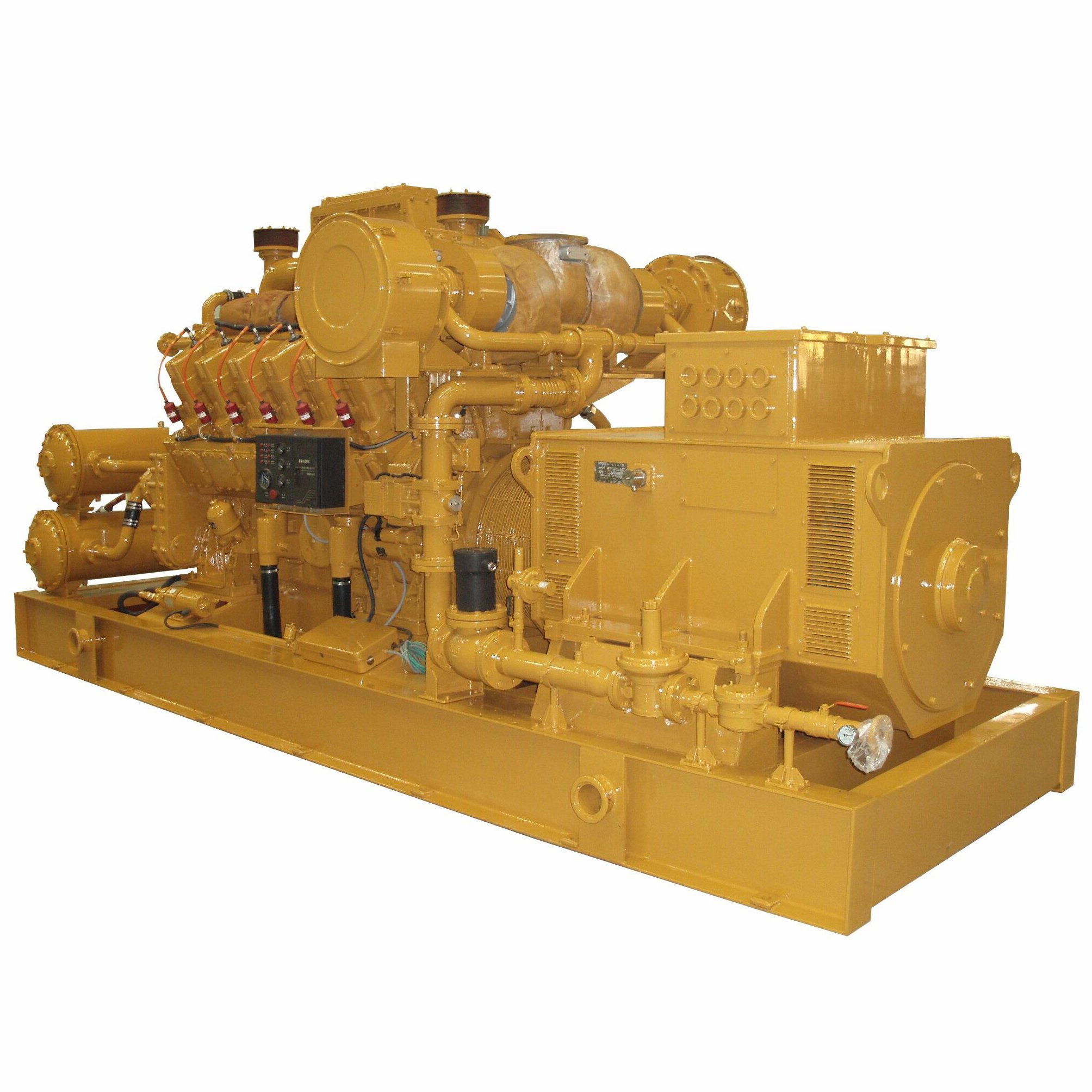 1MW / 2MW biogas plant generator with container