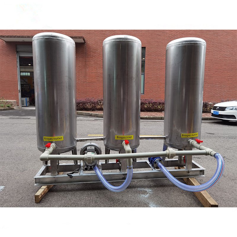Ailinyou Factory Supply biogas plant biogas digester 100m3 per hour biogas upgrading system