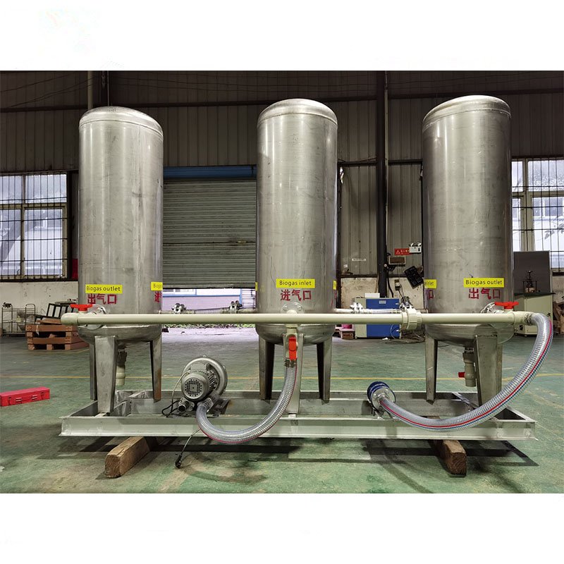Ailinyou Factory Supply biogas plant biogas digester 100m3 per hour biogas upgrading system