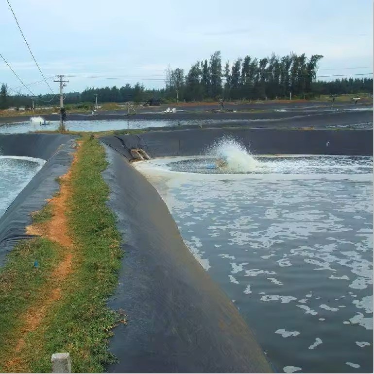 HDPE 0.5mm 1mm 1.5mm 2mm Waterproof Geomembrane Dam Pond Liner Price HDPE Geomembrane