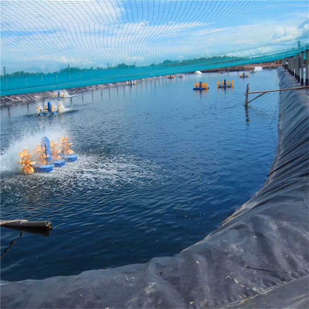 HDPE 0.5mm 1mm 1.5mm 2mm Waterproof Geomembrane Dam Pond Liner Price HDPE Geomembrane
