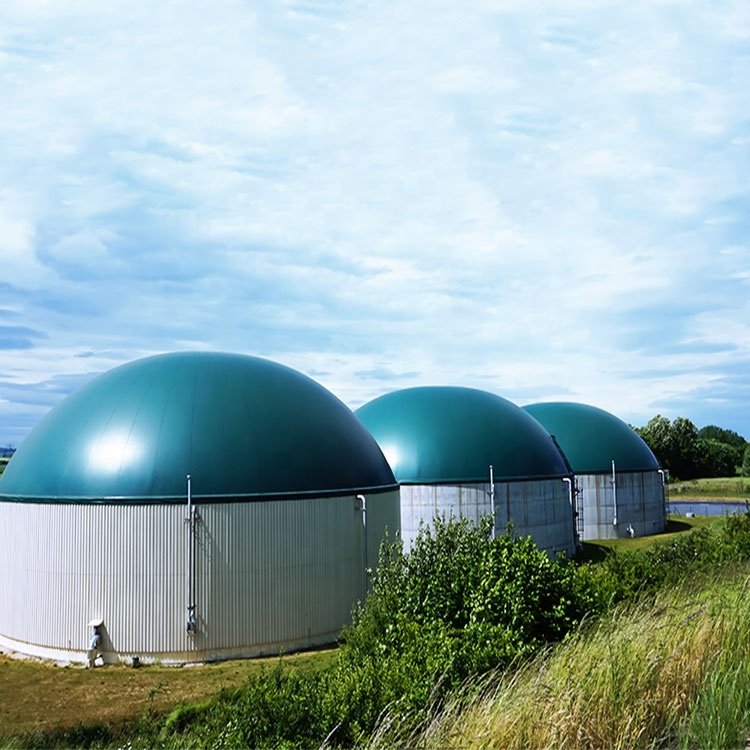 Bio Digester,Anaerobic Digester,Biogas Digester For Sale