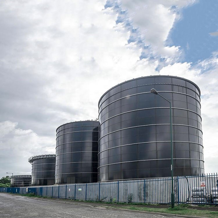 Bio Digester,Anaerobic Digester,Biogas Digester For Sale