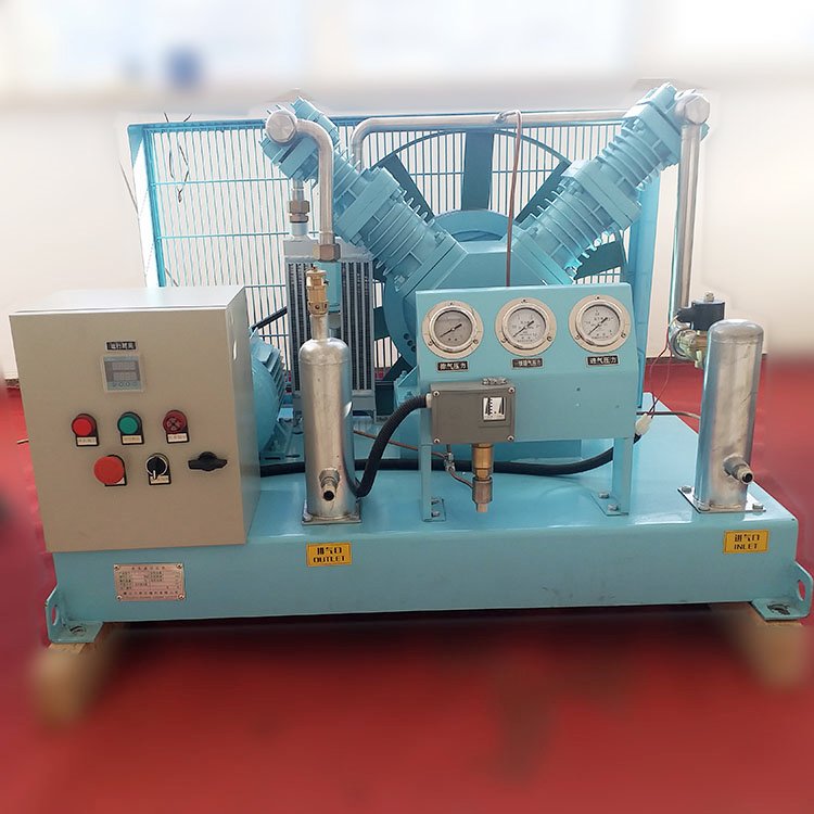 New Invention 200Bar Air Oxygen Booster Compressor Ar CO2 Biogas Natural Gas Cng Compressor For Psa O2 Plant