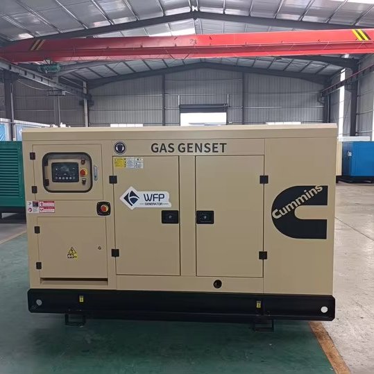 50kw natural Cummins gas generator with ATS biogas generator silent type gas generator Cummins brand