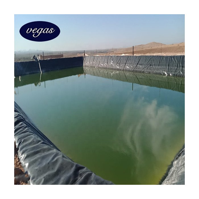 High mechanical strength HDPE liner sheet Geomembrane for artificial lake