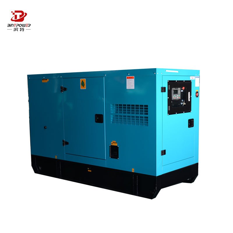 Silent BINTPOWER 100kw 200kw 250kw 300kw plant biomass gas generator price