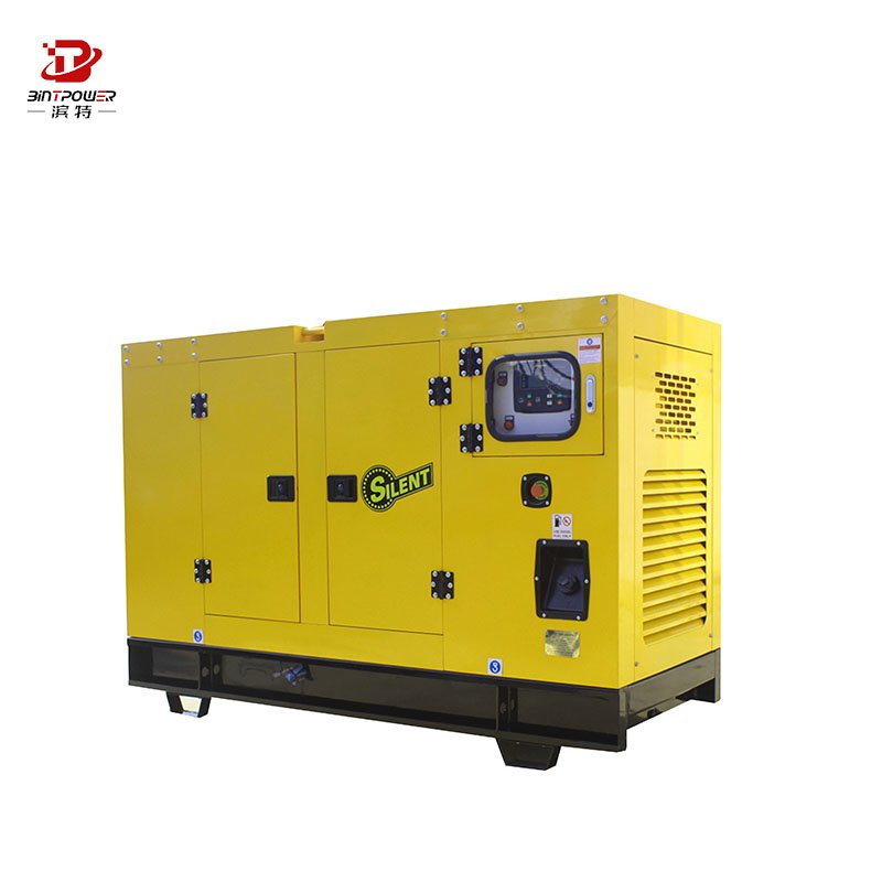Silent BINTPOWER 100kw 200kw 250kw 300kw plant biomass gas generator price
