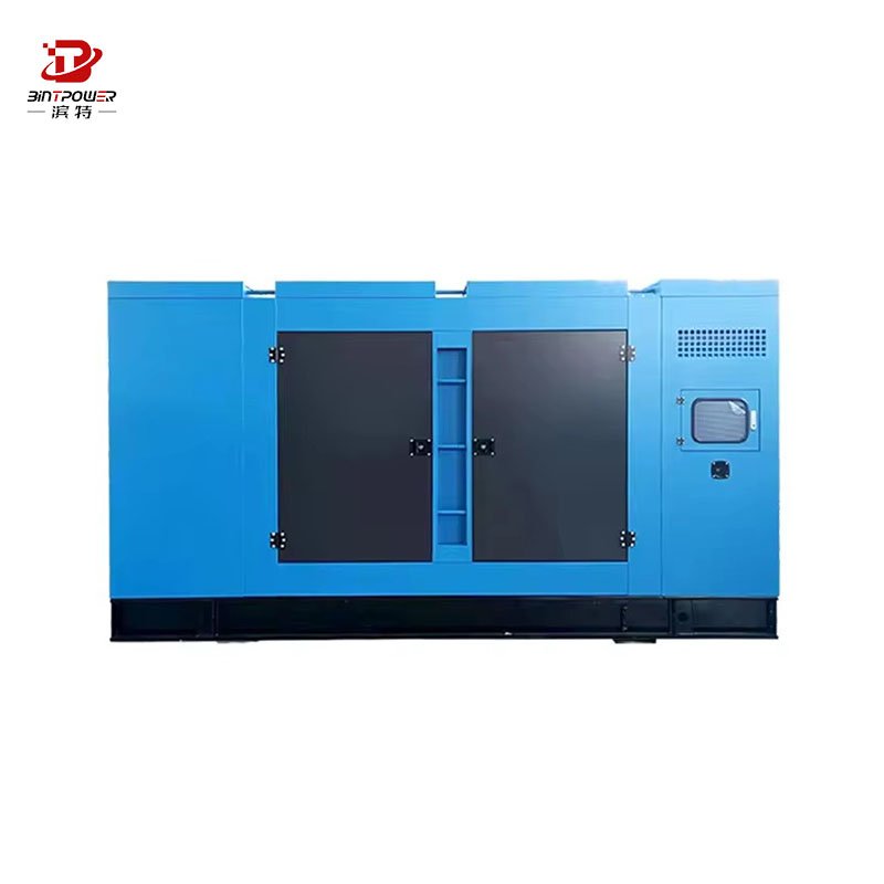 Silent BINTPOWER 100kw 200kw 250kw 300kw plant biomass gas generator price