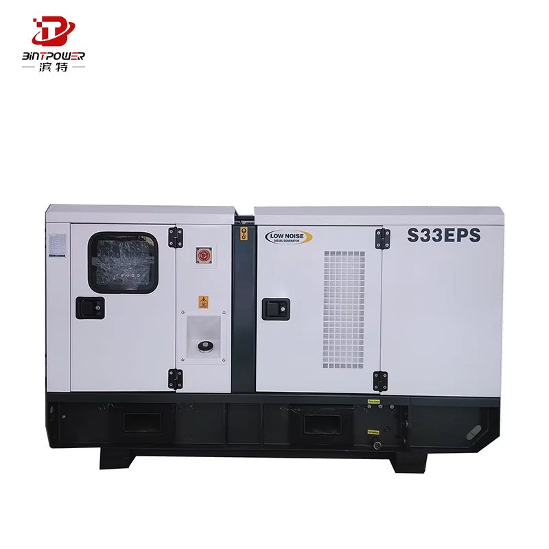 Silent BINTPOWER 100kw 200kw 250kw 300kw plant biomass gas generator price