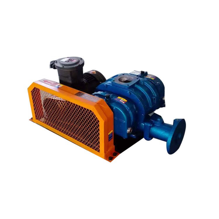 RSR Series China Baihui Industrial Air Blower For Biogas Made In China Blower Roots