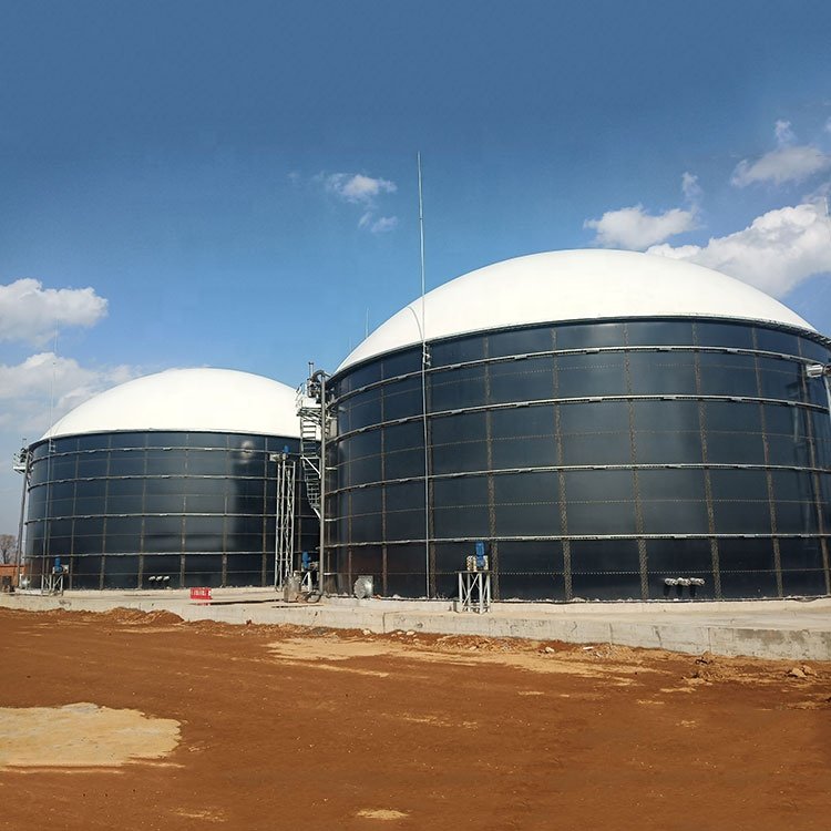 Biogas Power Plant Biogas Plant For Pig Farm