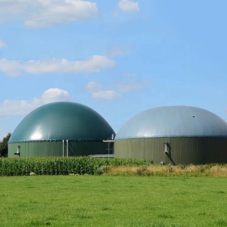 Biogas Power Plant Biogas Plant For Pig Farm