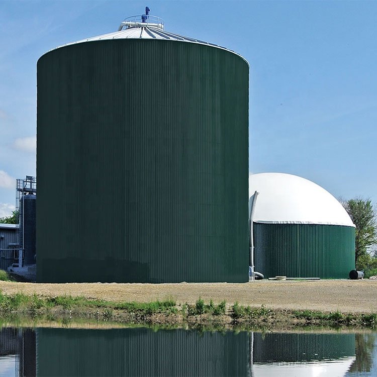 Biogas Power Plant Biogas Plant For Pig Farm