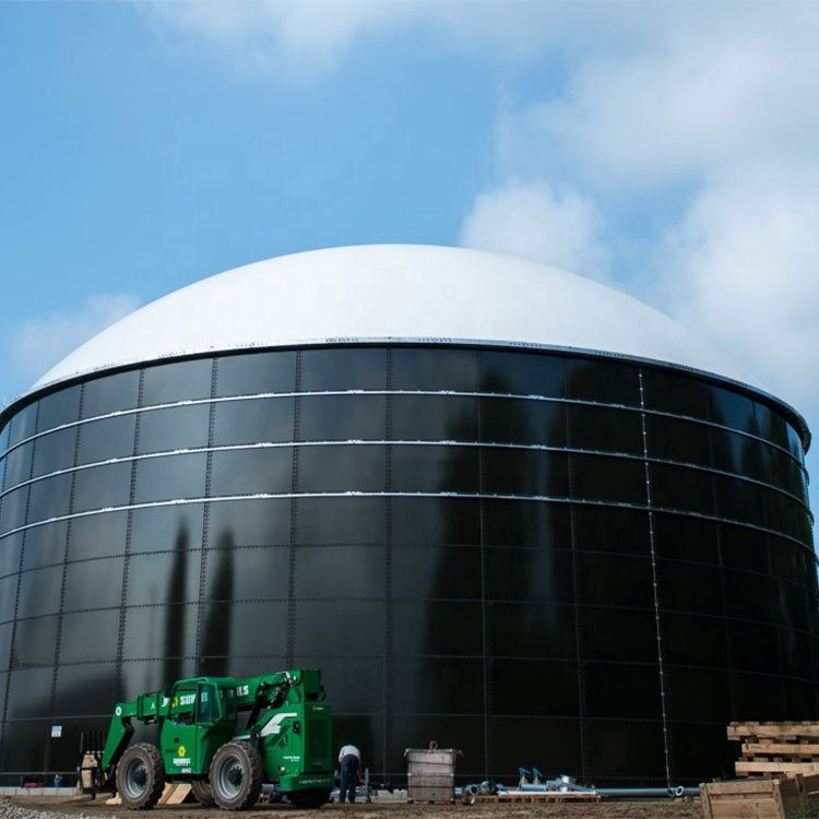 Biogas Power Plant Biogas Plant For Pig Farm