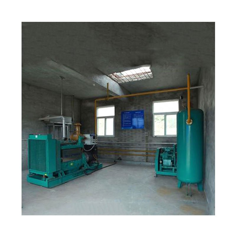 Manufacturer Hot Sale h2s Srubber Biogas Filter Desulfurization Biogas co2 Separator