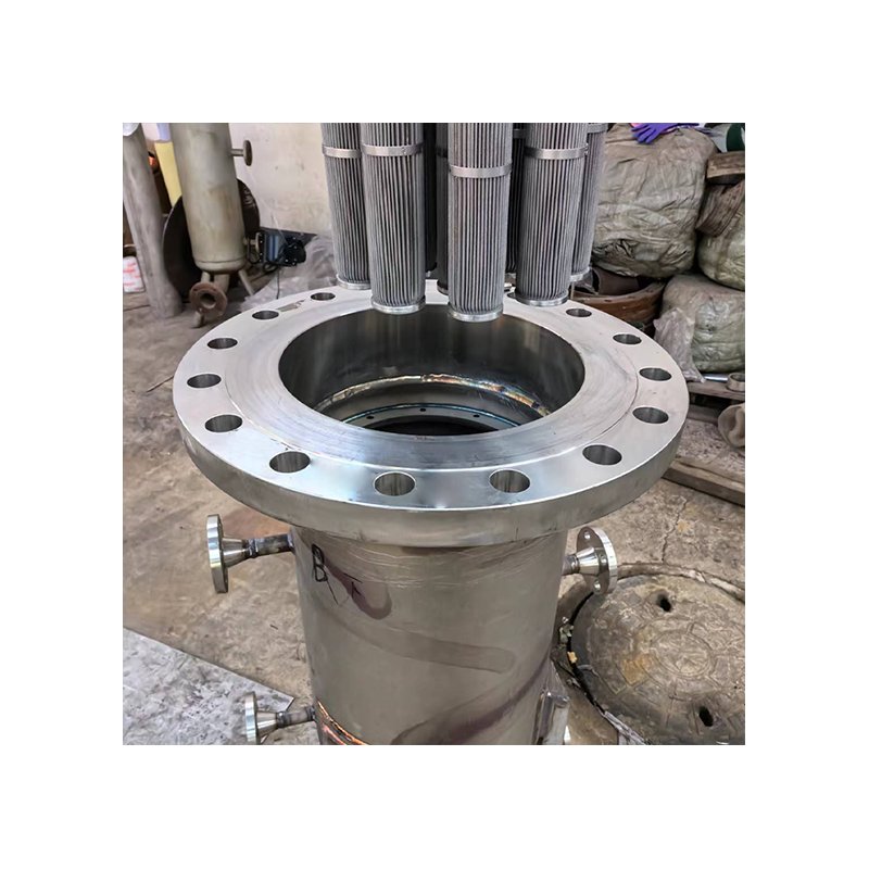 2024 Biogas filter Biogas Steam Water Separator industrial purification tower smoke purifier gas filter